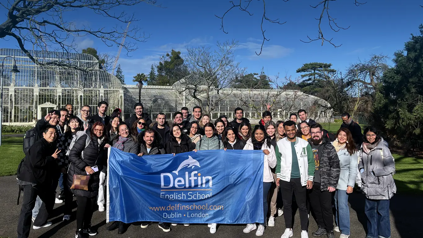 Delfin English School 